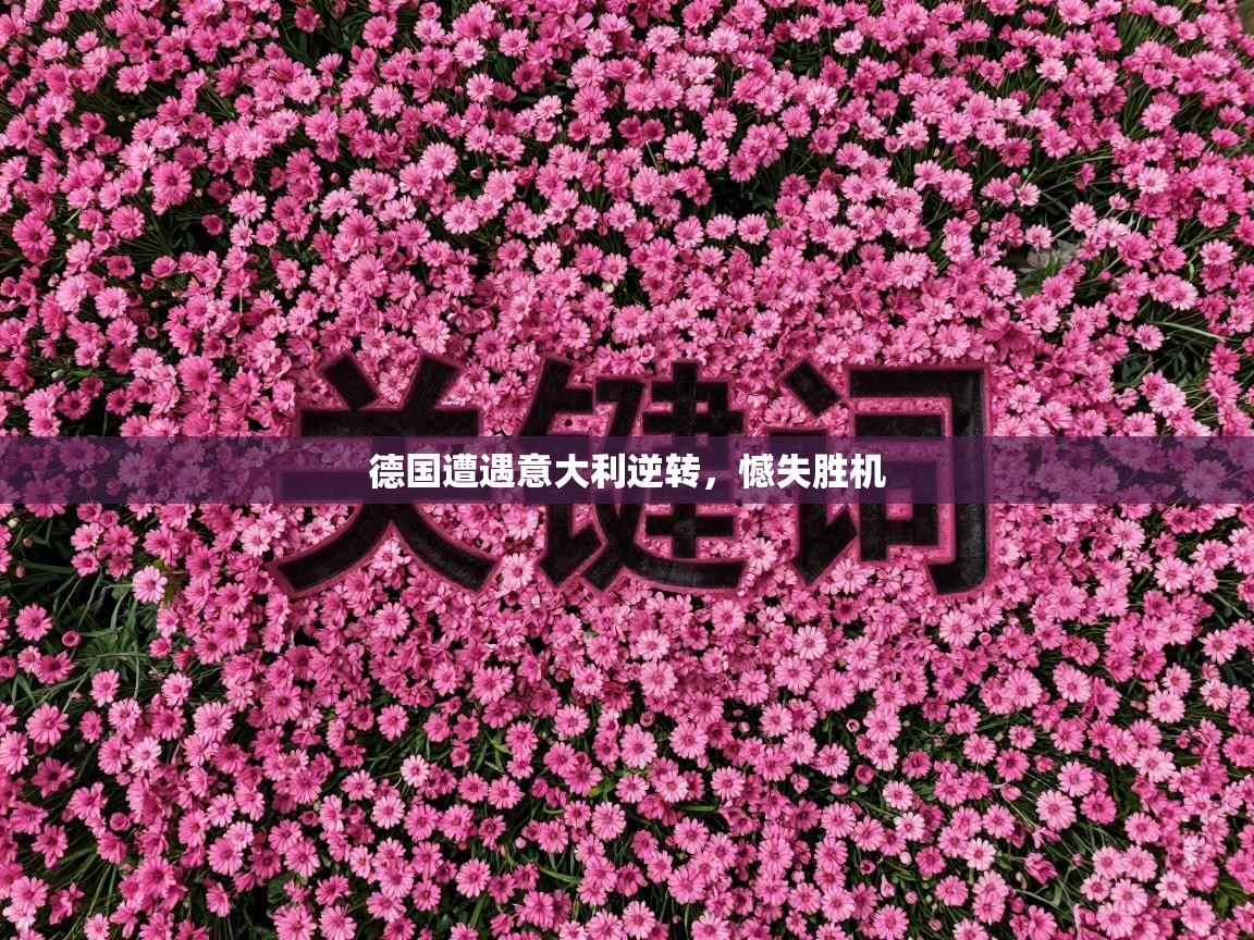 德国遭遇意大利逆转，憾失胜机  第1张